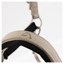 Indlæs billede til gallerivisning BR Eevolv Grime Idylle