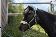 Indlæs billede til gallerivisning Grime -Mia-
