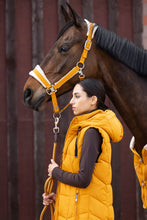 Indlæs billede til gallerivisning Grime -Arezzo-
