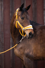 Indlæs billede til gallerivisning Grime -Arezzo-
